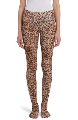 Etro Orion Sheer Animal Print Rib Stretch Cotton Tights in Beige 250