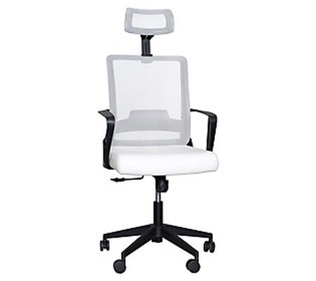 Evan Adjustable High Back Mesh Office Chair