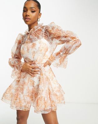 Ever New bubble sleeve organza mini dress in apricot floral-White