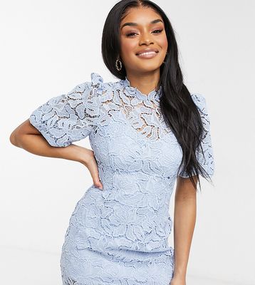 Ever New Petite puff sleeve high neck lace mini shift dress in blue