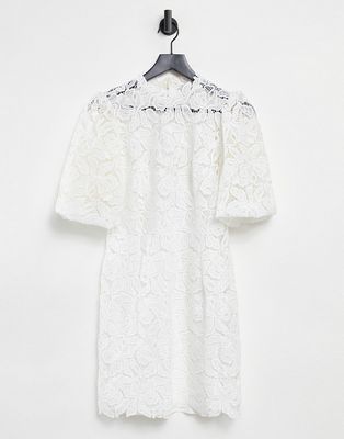 Ever New puff sleeve high neck lace mini shift dress in ivory-White