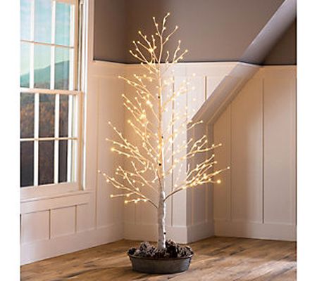 Evergreen 6'H Indoor/Outdoor Birch Tree w/256 C lorful Lights