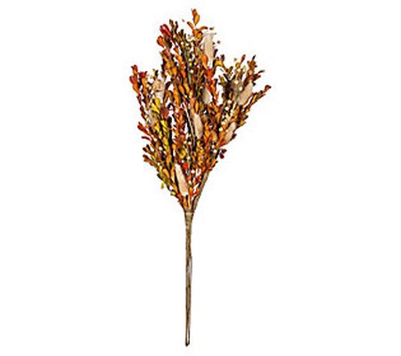 Evergreen Bunny Tail Grass Boxwood Branch