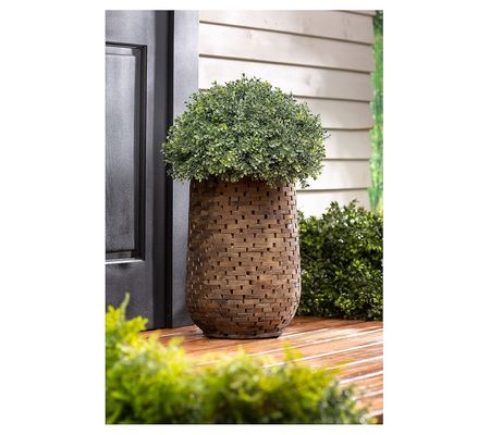 Evergreen Large Recycled Acacia Woods Planter