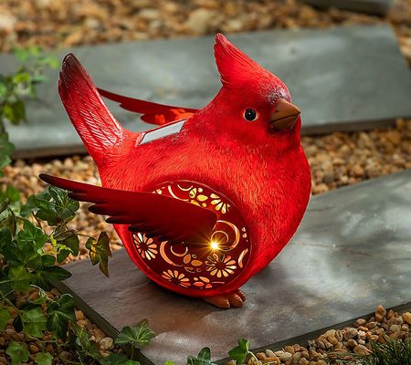 Evergreen Solar Engraved Cardinal