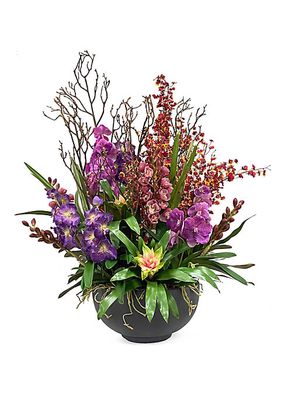 Everyday Floral Vanda Orchid Plant Arrangement