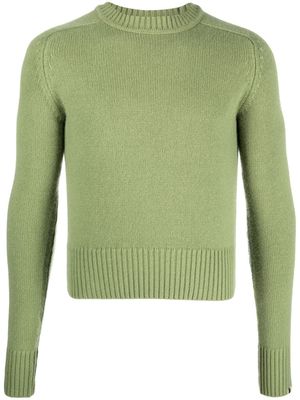 extreme cashmere crew neck cashmere jumper - Green