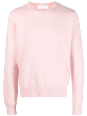 extreme cashmere n36 long-sleeved knitted jumper - Pink