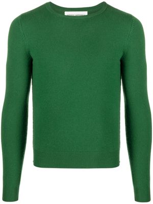 extreme cashmere n°41 Body crew neck jumper - Green