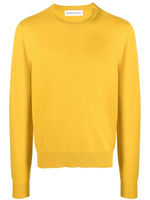 extreme cashmere Nº36 cashmere-blend jumper - Yellow