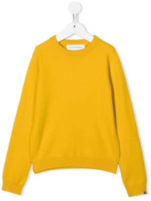extreme cashmere ribbed-knit long-sleeved jumper - Yellow