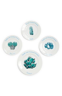 F-LAGSTUF-F North & Central America Set of 4 Decorative Plates in White
