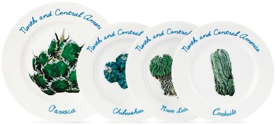 F-LAGSTUF-F White 'North and Central America' Plate Set
