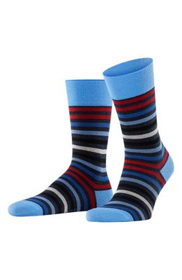 Falke Tinted Stripe Wool Blend Crew Socks in Dark Sapphire-Scarlet