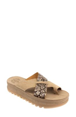 Fantasy Sandals Sansa Platform Sandal in Moka Cobra