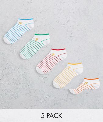 Farah Hofley 5 pack socks in white color stripe