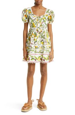 FARM Rio Fruit Orchard Cotton Minidress in Fruit Orchard Off-Wh