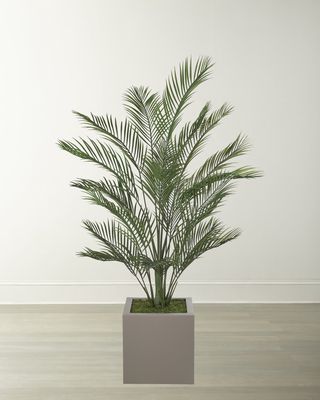 Faux Areca Palm Plant in Cube Planter, 67"T