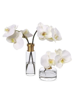 Faux Phalaenopsis Orchids 2-Piece Set - White - White