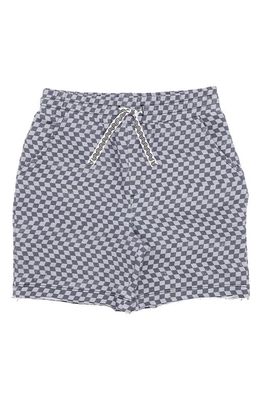 Feather 4 Arrow Low Tide Shorts in Grey Skies