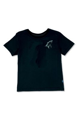 Feather 4 Arrow Sea Kings Cotton Graphic Tee in Black