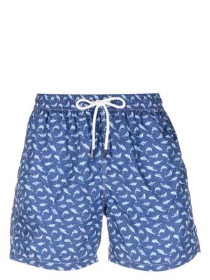 Fedeli Madeira dolphin-print swim shorts - Blue