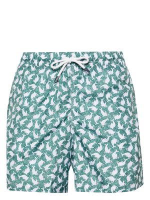 Fedeli Madeira swim shorts - Green