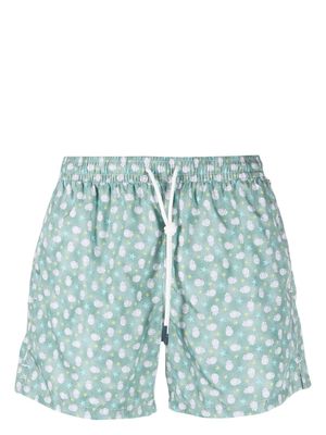 Fedeli pufferfish-print swim shorts - Green