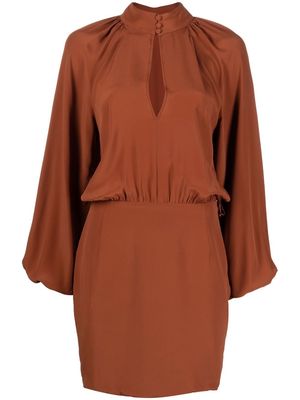Federica Tosi draped-waist mini dress - Brown