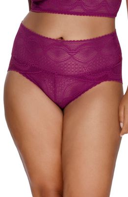 Felina Finesse High Waist Lace Brief in Black Lily