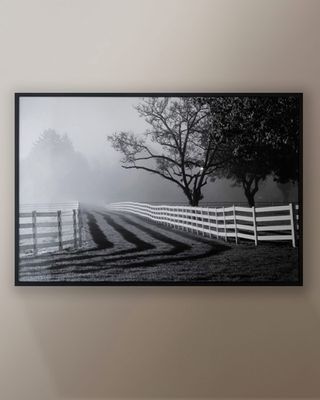 "Fenced Pasture with Fog and Sunshine" Photo