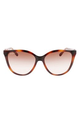 FERRAGAMO 57mm Gradient Cat Eye Sunglasses in Tortoise
