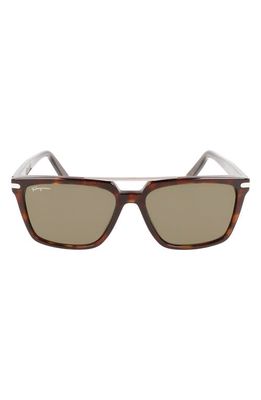FERRAGAMO 57mm Rectangular Sunglasses in Tortoise