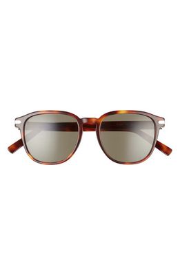 FERRAGAMO Timeless 53mm Rectangular Sunglasses in Tortoise /Solid Green