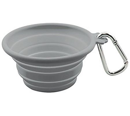 FFDPet Travel Bowl for Dogs & Cats Medium 26.5- oz Gray