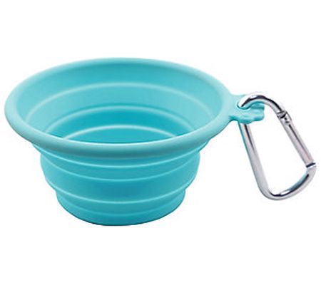 FFDPet Travel Bowl for Dogs & Cats Medium 26.5- oz Teal