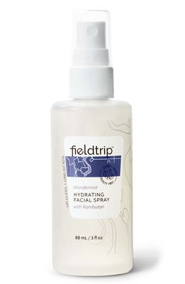 FIELDTRIP Wandermist Hydrating Facial Spray