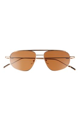 Fifth & Ninth 56mm Aviator Sunglasses in Brown/Gold