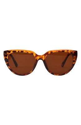 Fifth & Ninth Pepper 56mm Polarized Cat Eye Sunglasses in Torte/Brown