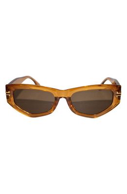 Fifth & Ninth Wren 52mm Polarized Geometric Sunglasses in Caramel/Brown