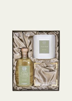 Fig Leaf Acrylic Home Ambiance Gift Set