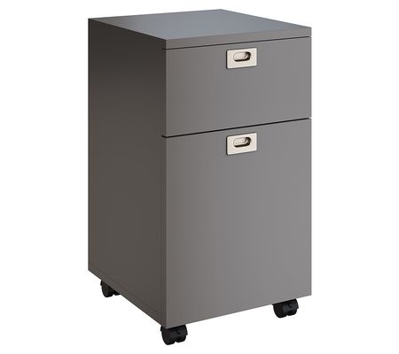 File Cabinet 2-Drawer Cabinet with Deep Drawer Storage