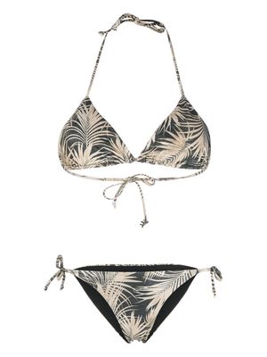 Fisico leaf-print halterneck tie bikini - Black