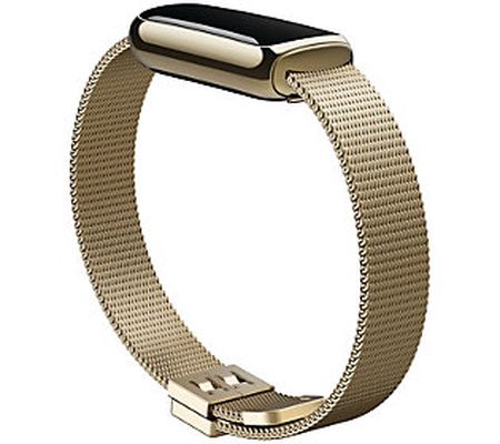Fitbit Luxe Stainless Steel Mesh Accessory Band