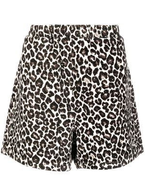 FIVE CM leopard-print bermuda shorts - Brown