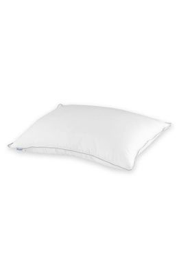 FluffCo Down & Feather Classic Hotel Pillow in Firm