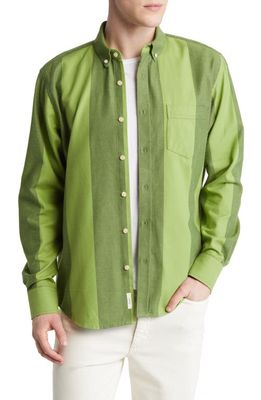 FORET Lotus Stripe Recycled Cotton Button-Down Shirt in Dark Green