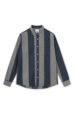 FORET Petal Regular Fit Stripe Organic Cotton Button-Down Shirt in Navy/Granite