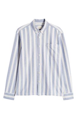 FORET Trust Stripe Organic Cotton Button-Down Shirt in Light Blue Stripe