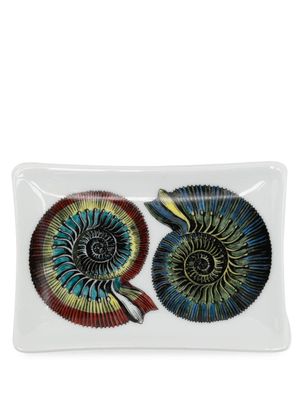 Fornasetti Giro di Conchiglie porcelain ashtray - Multicolour